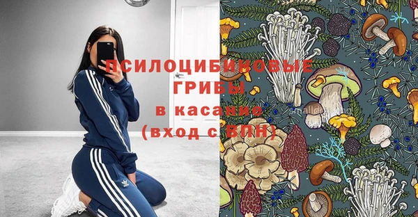 молекула духа Верея