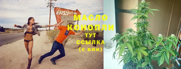 молекула духа Верея