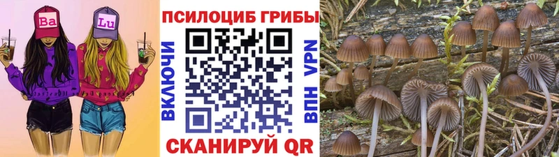 Галлюциногенные грибы Cubensis  Купить  Ленинградская 